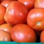 Tomate Redondo mediano