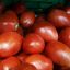 Tomate Perita 