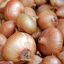 2 KG Cebollas grandes