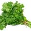 Cilantro se trae por pedido aclarar en el msj