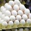 Huevos Blancos Grandes N1