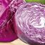 Repollo Morado