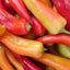 Ají picante SE TRAE POR PEDIDO 