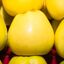 Manzana GOLDEN PREMIUM