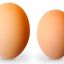 SUPER HUEVOS GRANDES