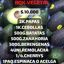 - Box Vegetal CLASICA