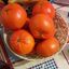 Mandarina NOVA Sin Semilla
