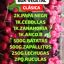 - Box Vegetal CLASICA
