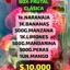 - Box Frutal CLASICA