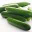 Pepino de ensalada