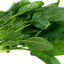 Espinaca