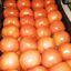 Tomate