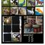 Memotest Animales Domesticos