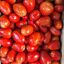 Tomate perita
