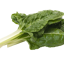 acelga