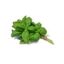 Albahaca 