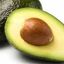 Palta