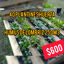 Plantines huerta+humus